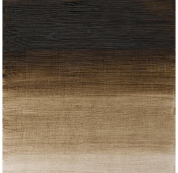Winsor & Newton W&N Artists olieverf 37ml Raw Umber (Green schade) 558