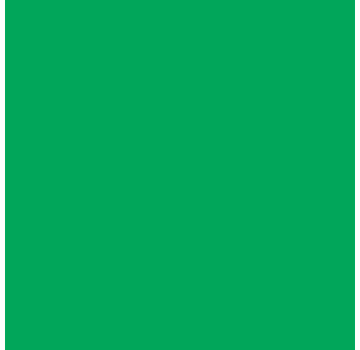 Winsor & Newton Pigment Marker Emerald