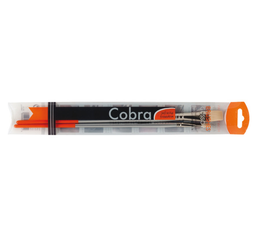 Cobra olieverf penselen set