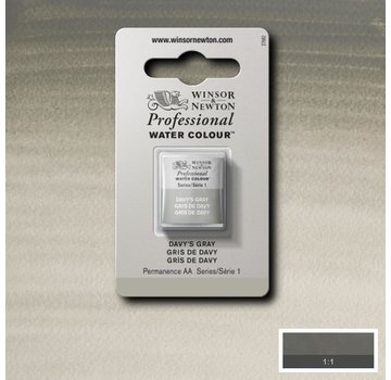 Winsor & Newton W&N pro. aquarelverf halve nap Davys Grey S1