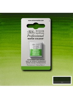 Winsor & Newton W&N pro. aquarelverf halve nap Permanent Sap Green S1