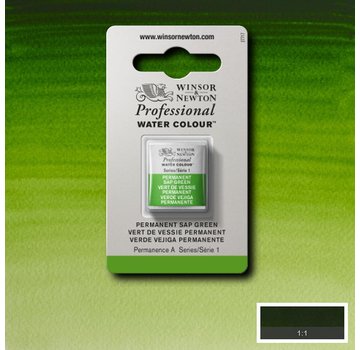 Winsor & Newton W&N pro. aquarelverf halve nap Permanent Sap Green S1