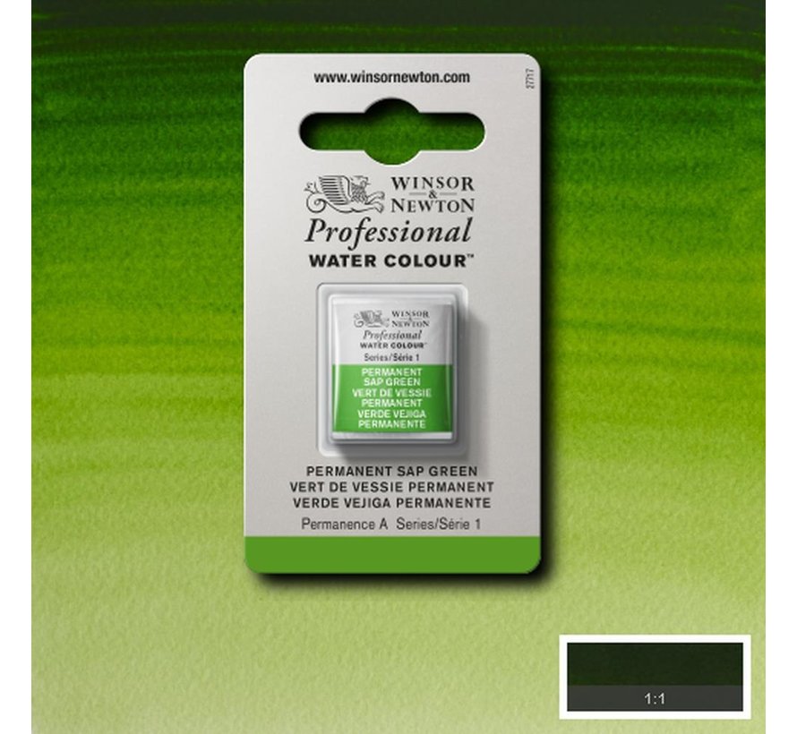 W&N pro. aquarelverf halve nap Permanent Sap Green S1