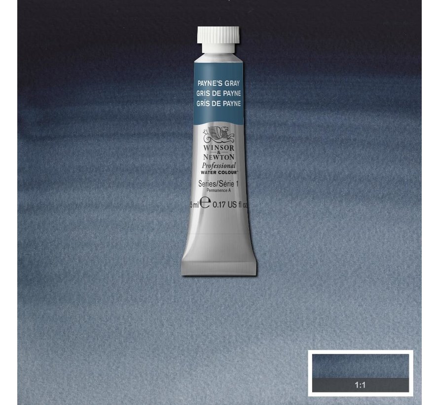 W&N pro. aquarelverf tube 5ml Paynes Gray