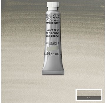 Winsor & Newton W&N pro. aquarelverf tube 5ml Davy's Gray