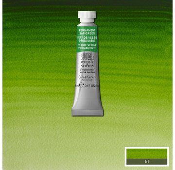 Winsor & Newton W&N pro. aquarelverf tube 5ml Permanent Sap Green