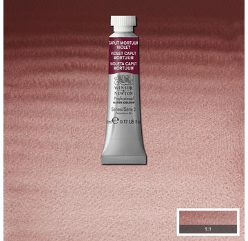 Winsor & Newton W&N pro. aquarelverf tube 5ml Caput Mortuum Violet