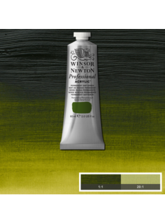 Winsor & Newton Professional acrylverf 60ml Permanent Sap Green