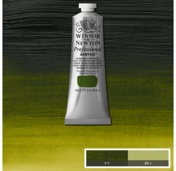 Winsor & Newton Professional acrylverf 60ml Permanent Sap Green
