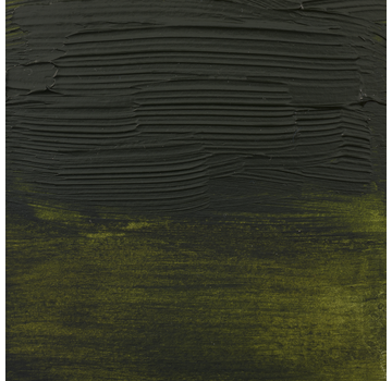 Amsterdam Amsterdam Expert Series Acrylverf Tube 75 ml Olijfgroen 620