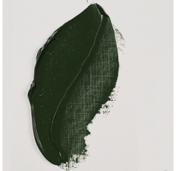 Rembrandt Rembrandt Olieverf Tube 40 ml Groene Aarde 629