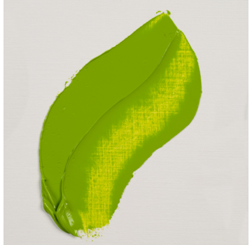 Rembrandt Rembrandt Olieverf Tube 40 ml Permanentgeelgroen 633