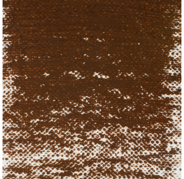 Van Gogh Van Gogh Oliepastel Omber Gebrand 409.5