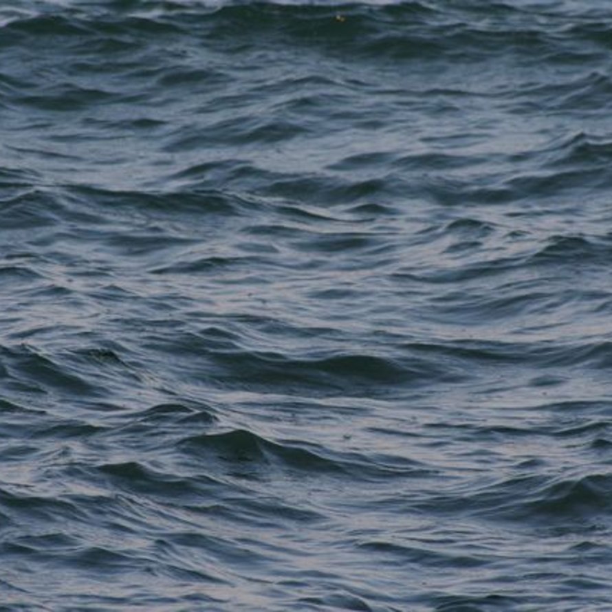 Waterproof Key & Phone Bags