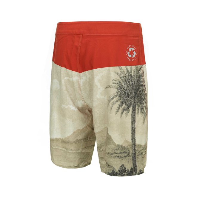 Picture Heren Code 19 Boardshorts Palmtree