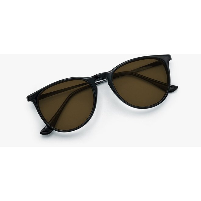 Nectar Traveller Black/Gold Sunglasses