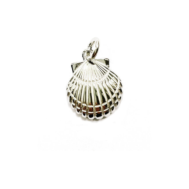 Laguna Treasures Shell Charm Zilver