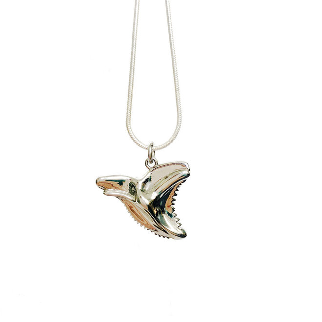 Laguna Treasures Ocean Shark Tooth Necklace Silver