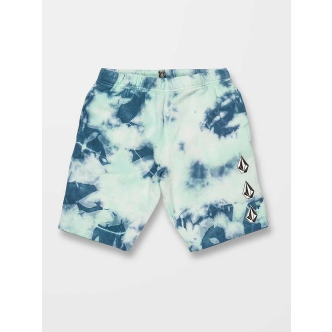 Volcom Boys Iconic Stone Fleece Shorts Temple Teal