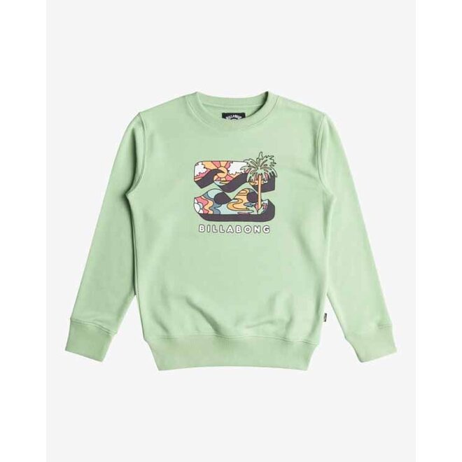 Billabong Boys Foundation Sweater Matcha