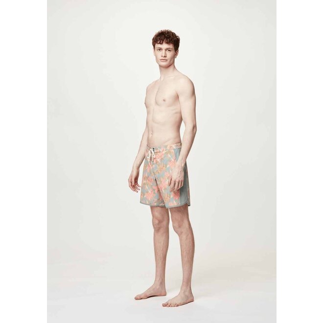 Picture Heren Andy Heritage 17 Boardshorts Eden Garden