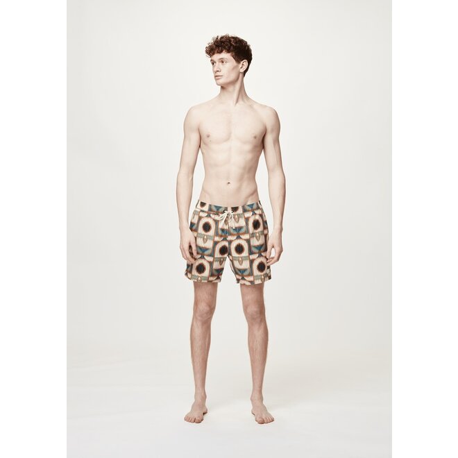 Picture Heren Piau 15 Boardshorts Tikkie