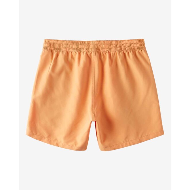 Billabong All Day Layback Boys Boardshort Melon