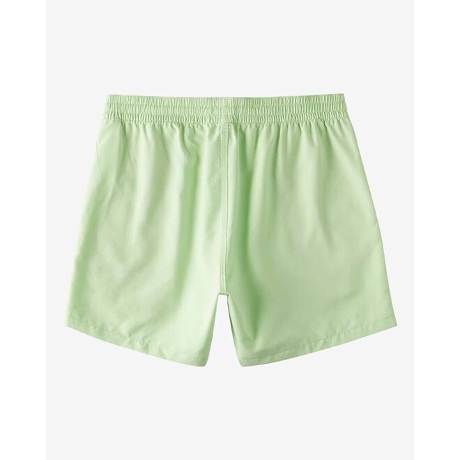 Billabong All Day Layback Boys Boardshort Pistachio