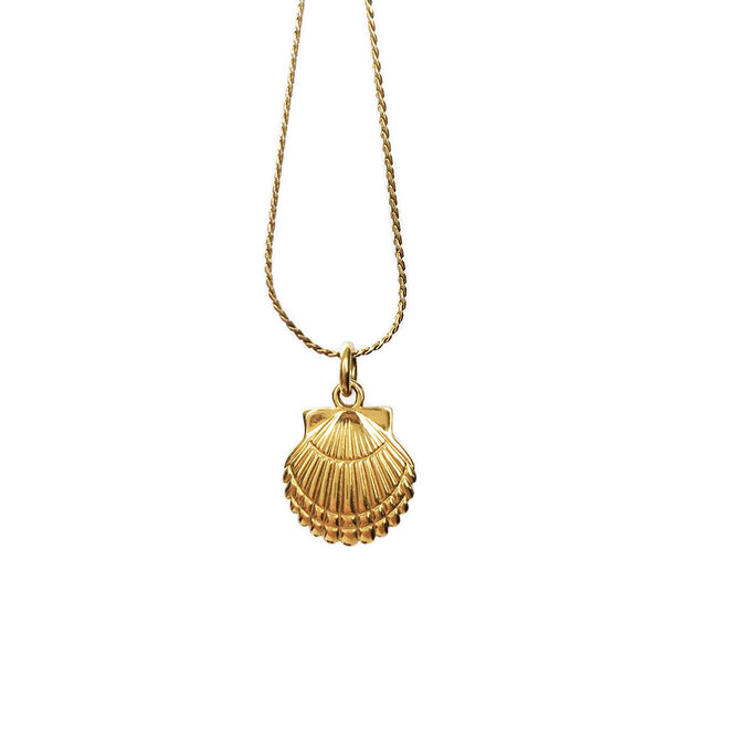 Laguna Treasures Oceaan Ketting Schelp Goud