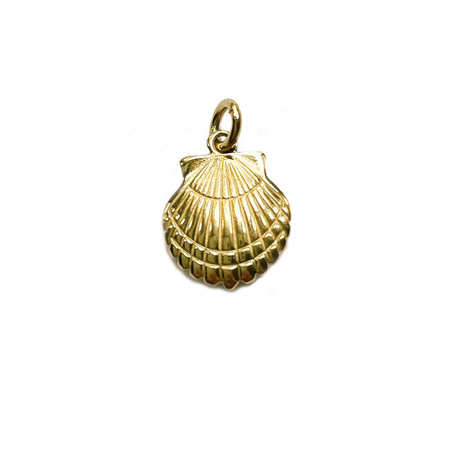 Laguna Treasures Oceaan Ketting Schelp Goud