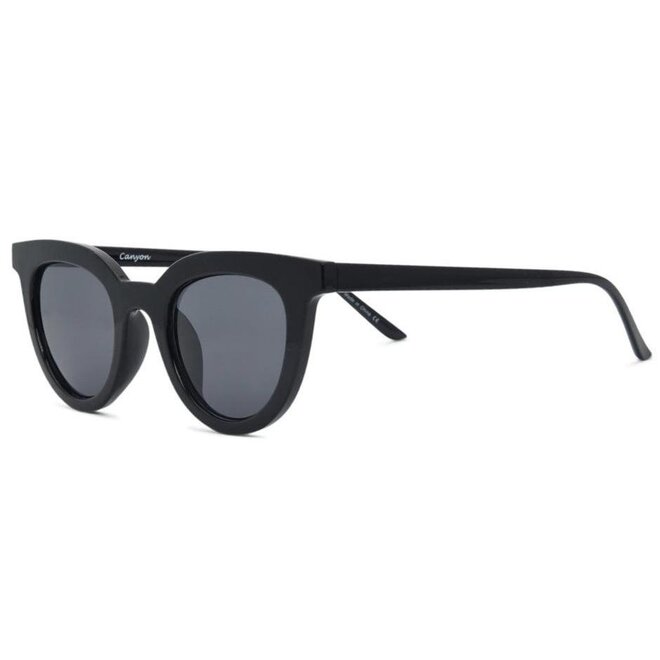 I-Sea Canyon Sunglasses Black / Smoke Polarized Lens
