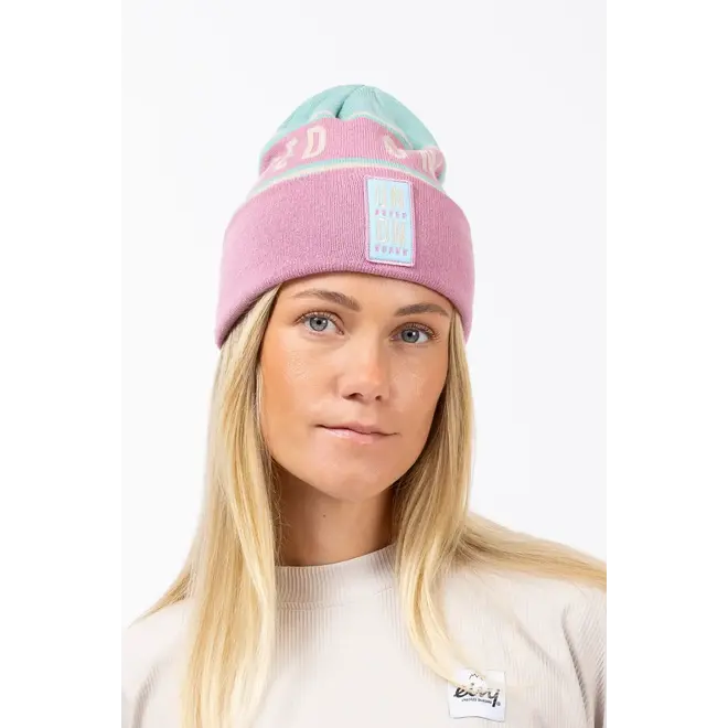 Eivy League Beanie Miami
