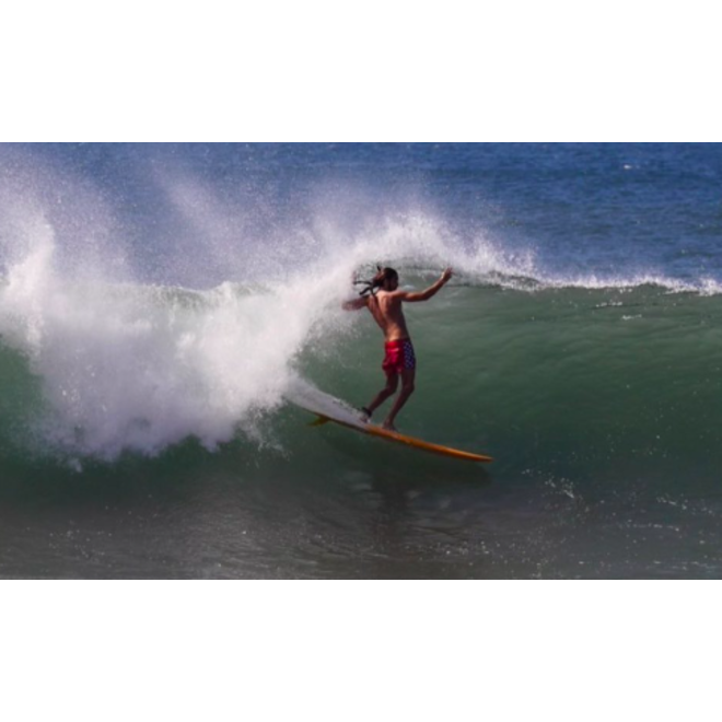 Captain Fin Andy Nieblas Single Fin 7.5 inch Clear