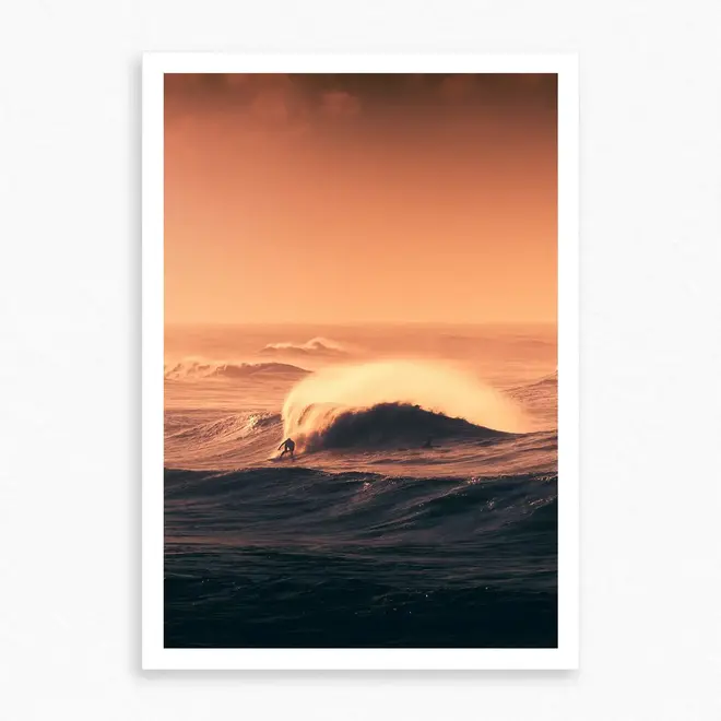 Jop Hermans The Wild Postcard