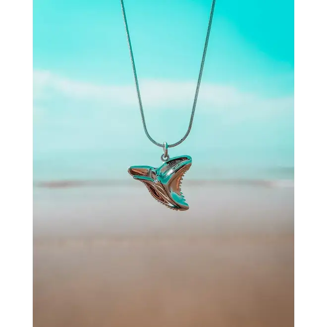 Laguna Treasures Oceaan Ketting Haaientand Zilver