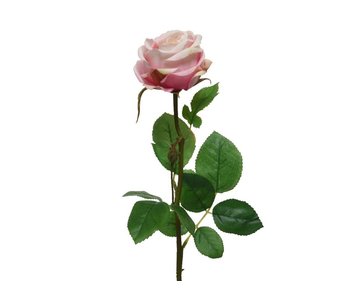 Roos zacht roze - H 66cm