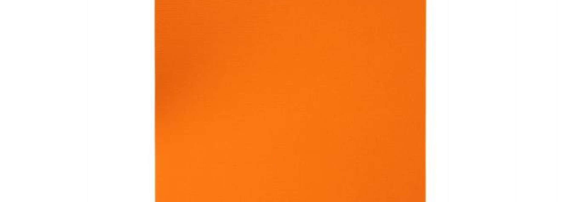Studio Yogamat 200cm 60cm 4.5mm - Oranje