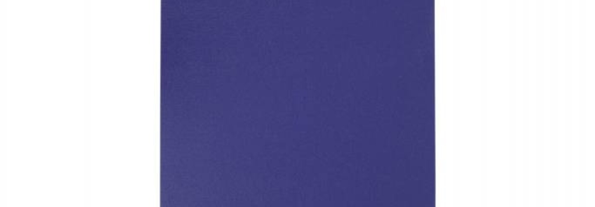 Studio Yogamat 200cm 60cm 4.5mm - Paars