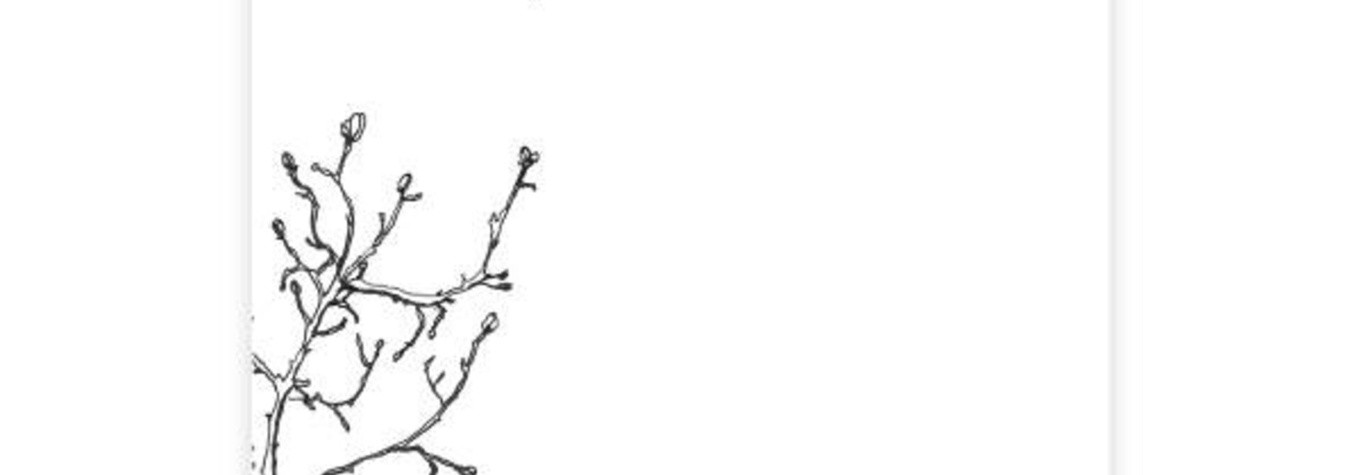 A Beautiful Story Ansichtkaart - Branch