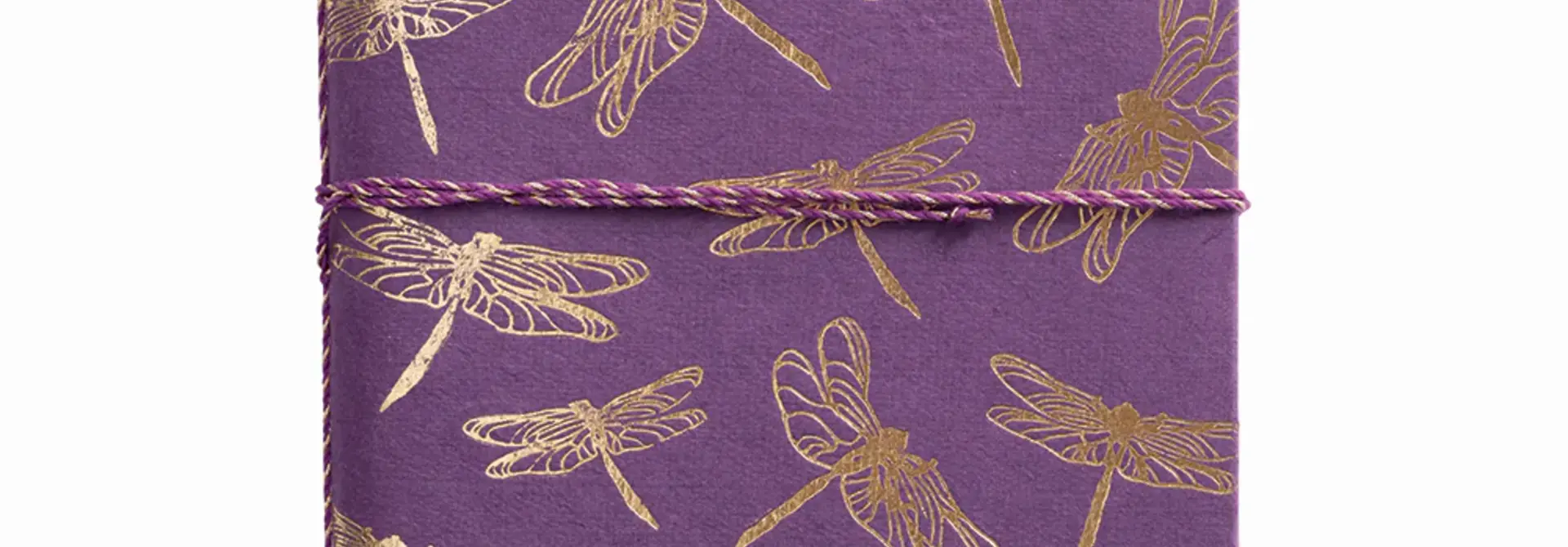 A Beautiful Story Schetsboek - Dragonflies