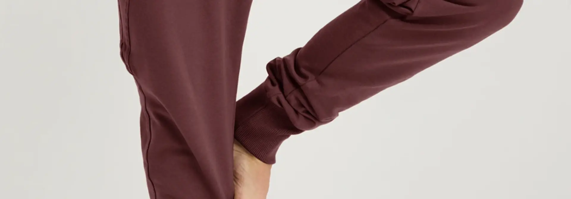 Renegade Guru Arjuna Yoga Broek - Marron