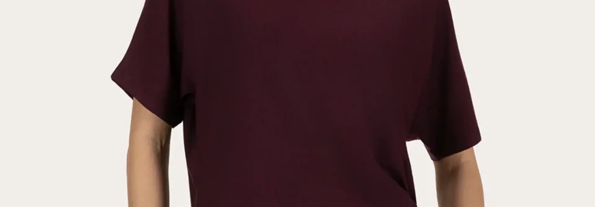 Urban Goddess Budhi Short Sleeve Top - Fig