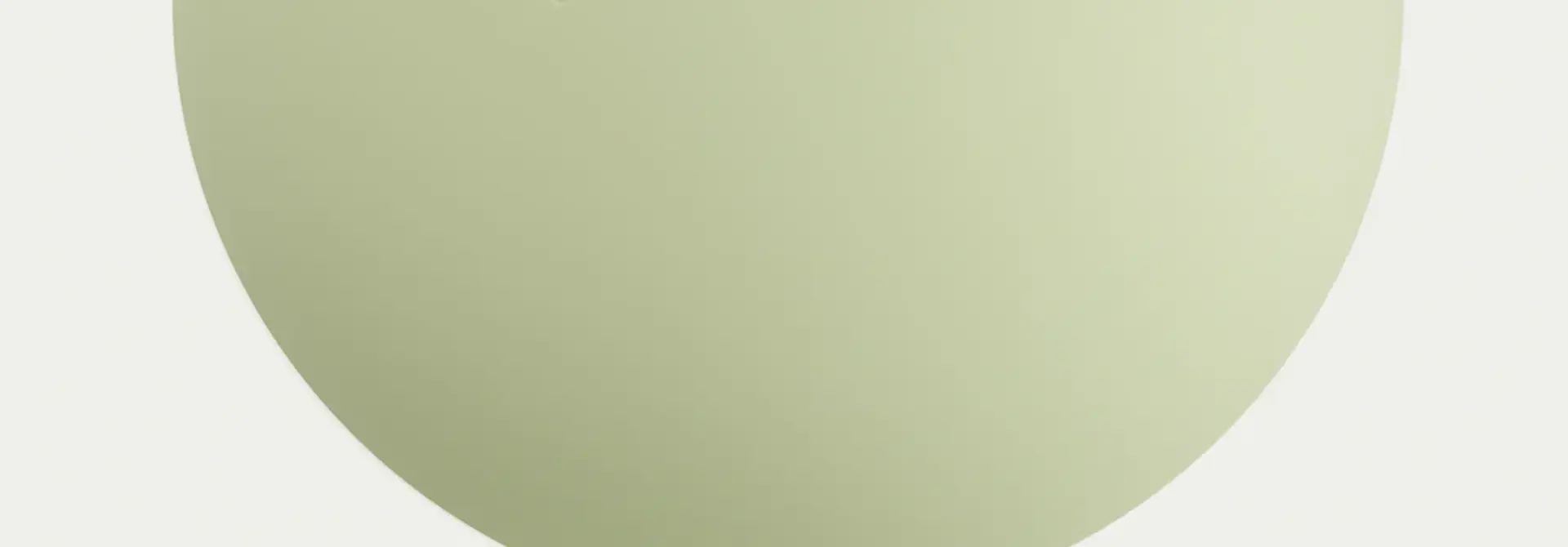 Bala The Power Ball 1.5kg - Sage