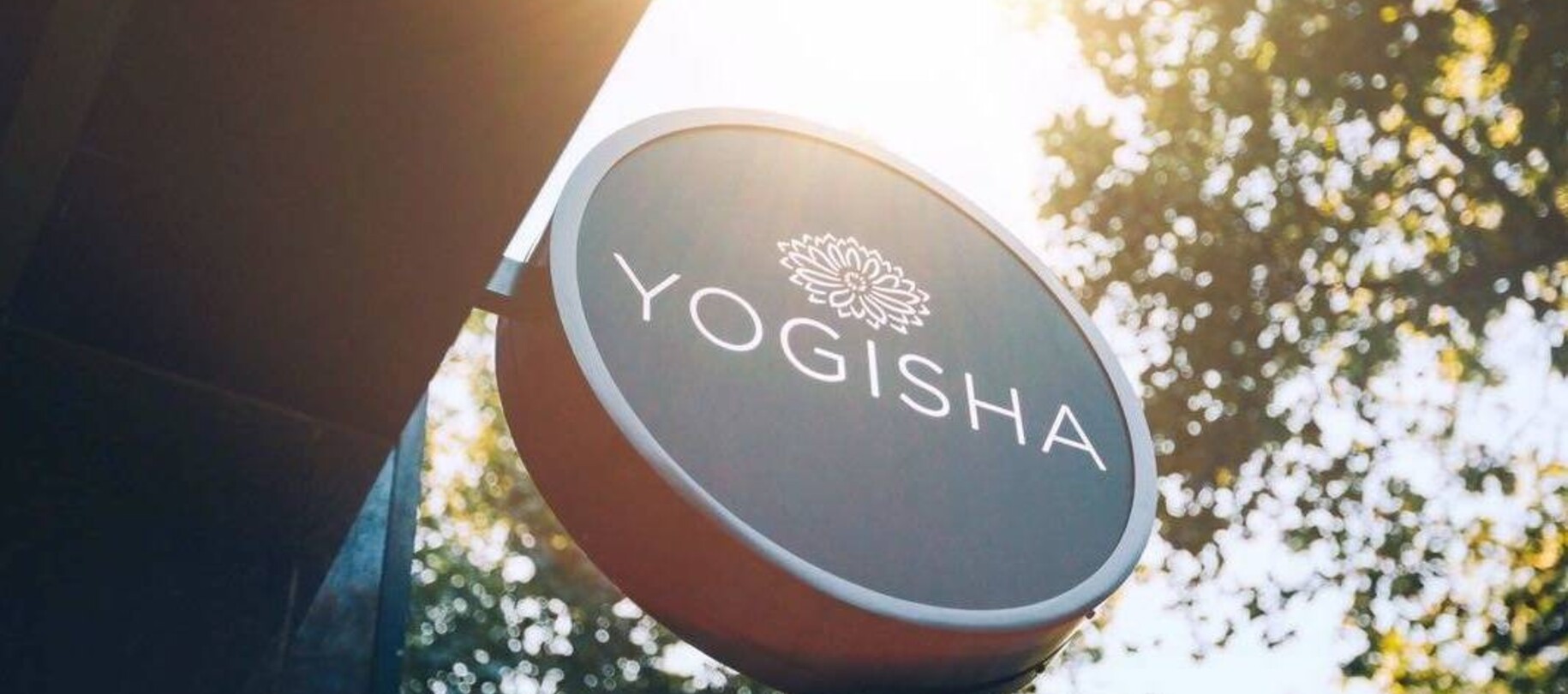 Over Yogisha