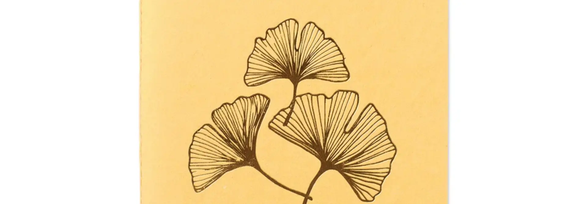 A Beautiful Story Notebook - Ginkgo