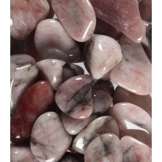 Aardbeienkwarts stenen 1 kg