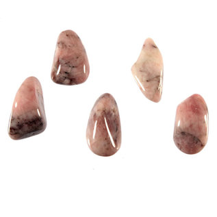 Aardbeienkwarts doorboorde hangers (3 stuks)