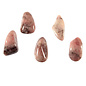 Aardbeienkwarts doorboorde hangers (3 stuks)