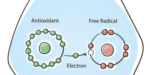 Wat zijn antioxidanten?