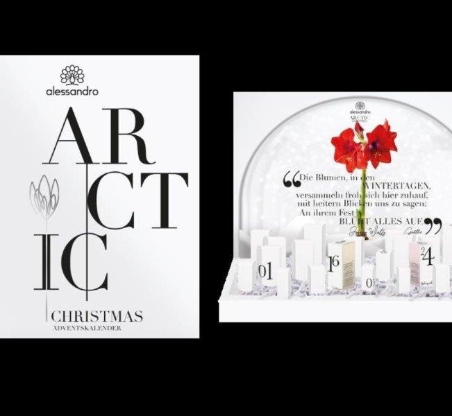 Adventskalender De Luxe  Artic Christmas